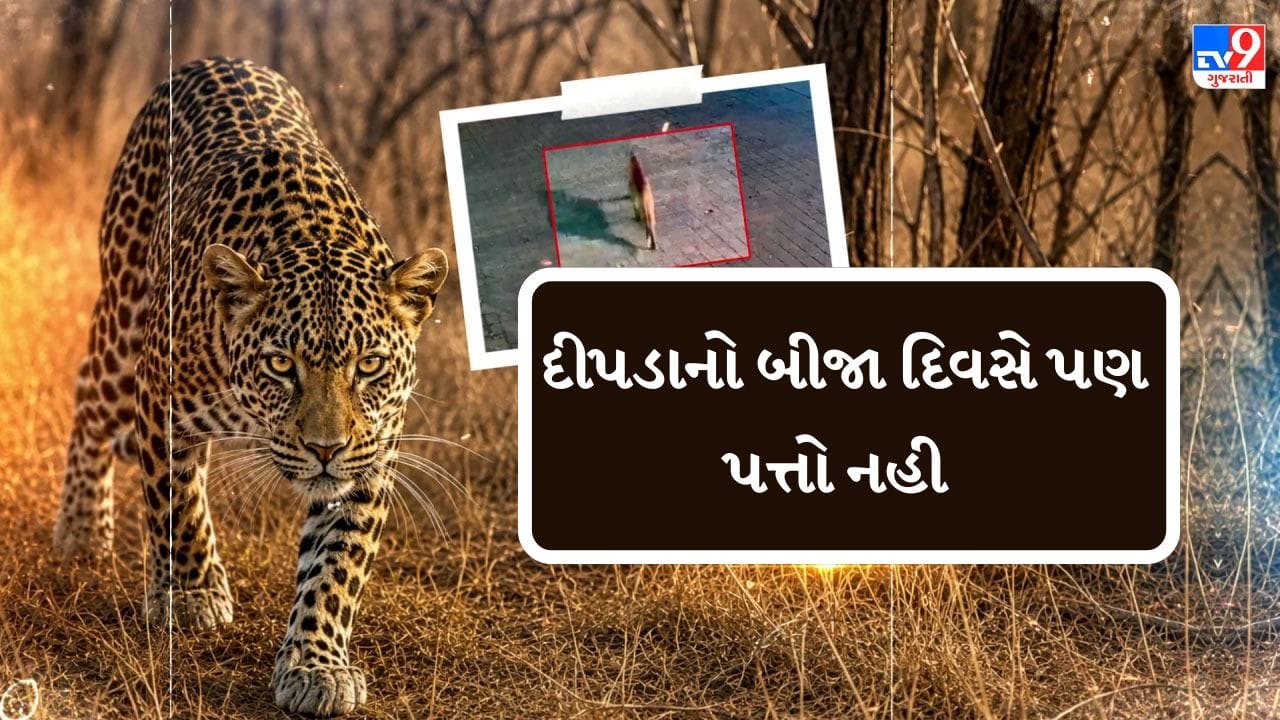 Breaking News : દીપડાનો પત્તો ન લાગતા વન વિભાગે સર્ચ ઓપરેશનનું સ્થળ બદલ્યું, જુઓ Video Breaking News : દીપડાનો પત્તો ન લાગતા વન વિભાગે સર્ચ ઓપરેશનનું સ્થળ બદલ્યું, જુઓ Video