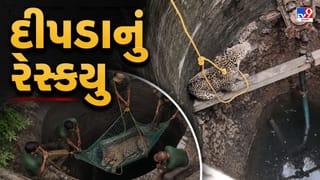 Gir Somnath Breaking: ગીર-સોમનાથમાં કૂવામાં ખાબક્યો દીપડો, કલાકોની જહેમત બાદ સફળ રેસ્ક્યુ, જુઓ Video