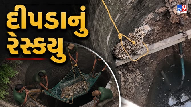 ગીર-સોમનાથમાં કૂવામાં ખાબક્યો દીપડો, ભારે જહેમતે રેસ્ક્યૂ