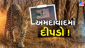 અમદાવાદના ઘુમા વિસ્તારની એક સોસાયટીમાં દીપડાના આંટાફેરાથી ફફડાટ