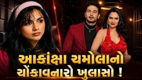 હું છોકરીઓ સાથે સંબંધમાં હતી,ગૌરવ ખન્નાની પત્નીનો ખુલ્યો બીજો મોટો રાઝ