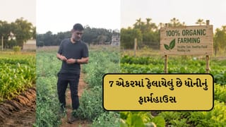 MS Dhoni Farmhouse : લક્ઝરી ઘર કરતા પણ વધારે સમય ફાર્મહાઉસમાં પસાર કરે છે ધોની, જુઓ Video