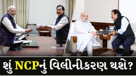 અમિત શાહ બાદ PM મોદીને મળ્યા મહારાષ્ટ્રના નેતા, શું NCP NDAમાં જોડાશે?