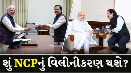 અમિત શાહ બાદ PM મોદીને મળ્યા મહારાષ્ટ્રના નેતા, શું NCP NDAમાં જોડાશે?