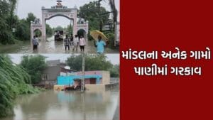 અમદાવાદ ગ્રામ્યમાં મેઘતાંડવથી અનેક ગામોનો સંપર્ક કપાયો, માંડલ તાલુકાના અનેક ગામો પાણીમાં ગરકાવ- Video