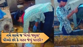 બજારમાંથી મળતો મેંગો જ્યુસ પીઓ છો તો આ Video એક વાર જોઈ લેજો
