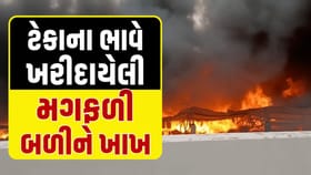 મોરબીના રફાળેશ્વર GIDC માં મગફળીના ગોડાઉનમાં ભીષણ આગ