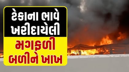 મોરબીના રફાળેશ્વર GIDC માં મગફળીના ગોડાઉનમાં ભીષણ આગ