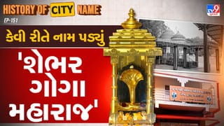 History of city name : શેભરના ગોગા મહારાજના નામ પાછળનો શું છે ઈતિહાસ ? જાણો આખી વાર્તા