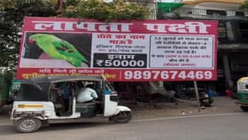 માણસ ગુમ થાય ત્યારે પોસ્ટર લગાવવામાં આવે પણ આહિયા તો પોપટ માટે લગાવ્યુ