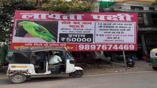 Viral Video: પક્ષી પ્રેમની અનોખી મિસાલ: ગુમ થયેલા પોપટ ‘માઉ’ને શોધી લાવનારને મળશે ₹50 હજારનું ઇનામ