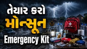 ચોમાસાની તૈયારી કરી લીધી? દરેક ઘરમાં હોવી જ જોઈએ આ જરૂરી ઇમરજન્સી કિટ