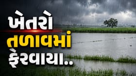 ભરૂચના અંકલેશ્વરમાં અનરાધાર વરસાદ: ખેતરો તળાવમાં ફેરવાયા