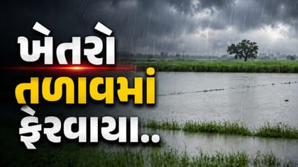 ભરૂચના અંકલેશ્વરમાં અનરાધાર વરસાદ: ખેતરો તળાવમાં ફેરવાયા