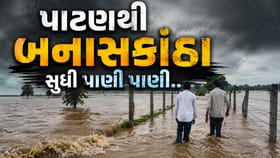 ઉત્તર ગુજરાતમાં ભારે વરસાદ બાદ ચોંકાવનારી સ્થિતિ, જુઓ Video
