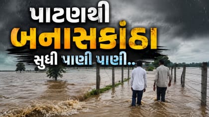 ઉત્તર ગુજરાતમાં ભારે વરસાદ બાદ ચોંકાવનારી સ્થિતિ, જુઓ Video