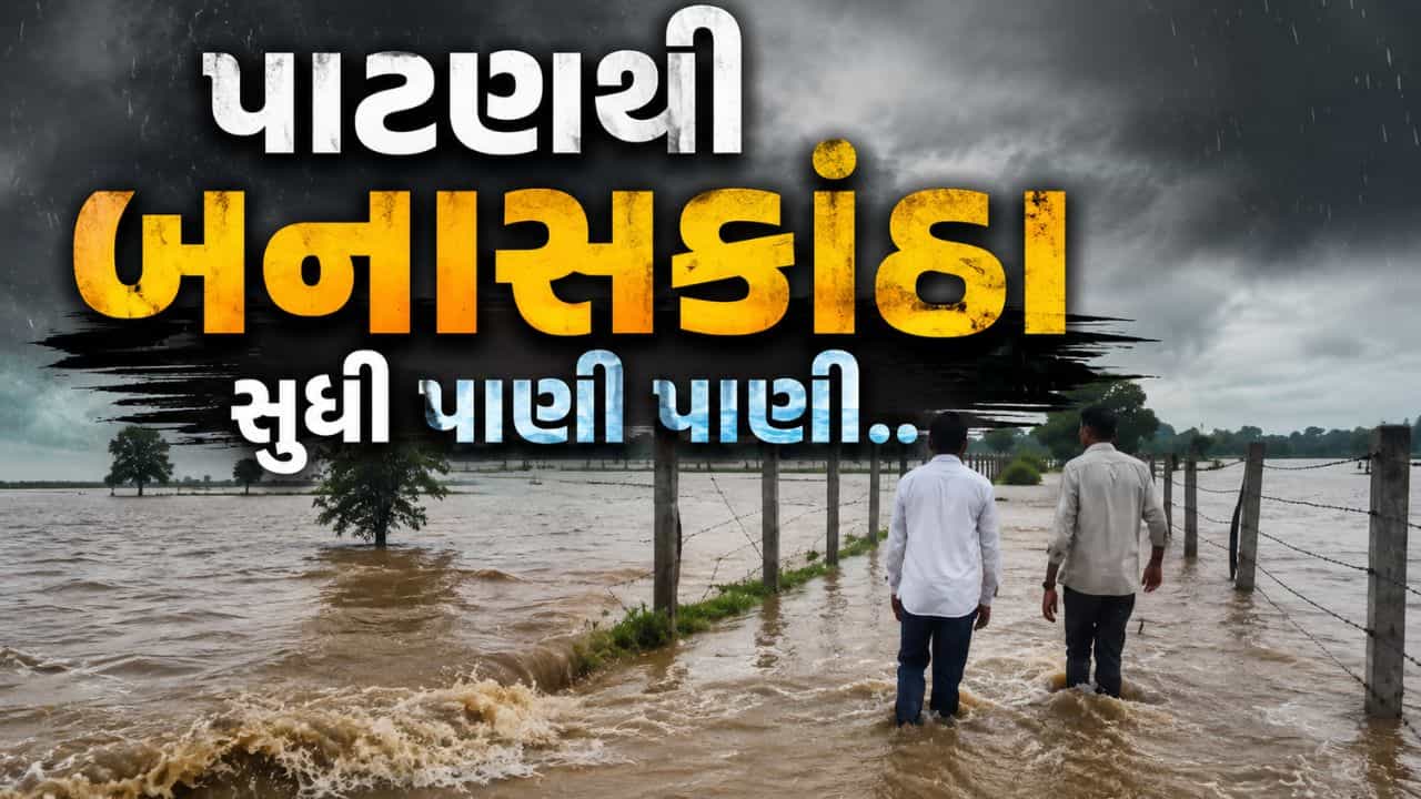 પાટણથી બનાસકાંઠા સુધી જળબંબાકાર, ઉત્તર ગુજરાતમાં ભારે વરસાદ બાદ ચોંકાવનારી સ્થિતિ, જુઓ Video