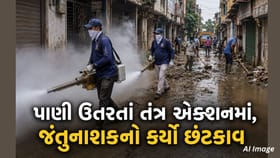 સાયણની ખાડીમાં આવ્યું પૂર, જંતુનાશક દવાનો કર્યો છંટકાવ, જુઓ Video