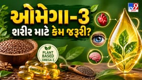તમારા શરીરમાં ઓમેગા-3ની ઉણપ તો નથી? જાણો તેના લક્ષણો અને શ્રેષ્ઠ ફૂડ્સ