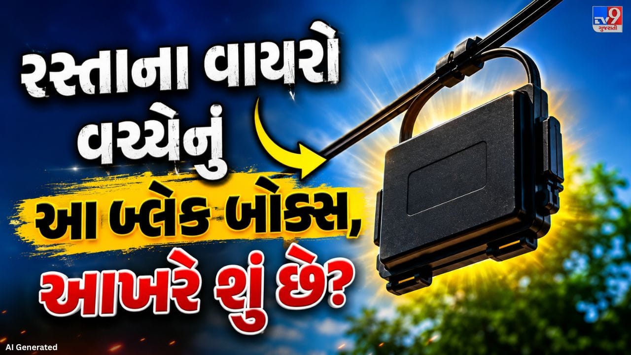 તમારા ઘર સુધી ઇન્ટરનેટ પહોંચાડવામાં આ નાનું બ્લેક બોક્સ મહત્વની ભૂમિકા ભજવે છે. તેને ઓપ્ટિકલ ફાઇબર જંક્શન બોક્સ કહેવામાં આવે છે, જે ફાઇબર કેબલને સુરક્ષિત રીતે જોડીને Wi-Fi કનેક્શન ચાલુ રાખવામાં મદદ કરે છે.