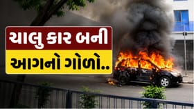ચાલુ કારમાં અચાનક લાગી આગ, જુઓ Video