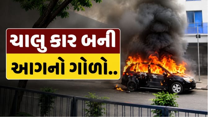 ચાલુ કારમાં અચાનક લાગી આગ, જુઓ Video