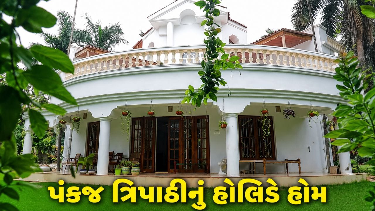 મૈસુર હોમ ડેકોર, લાકડાનું ઇન્ટિરિયર... પંકજ ત્રિપાઠીનું હોલિડે હોમ છે એકદમ અનોખું ! જુઓ Video