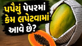 પપૈયાને અખબારમાં કેમ લપેટવામાં આવે છે? જાણો તેની પાછળનું વિજ્ઞાન