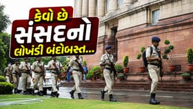 Parliament Security: ભારતમાં સંસદની સુરક્ષા કોણ કરે છે?