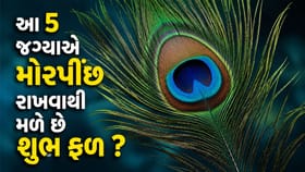 વાસ્તુ અનુસાર આ 5 જગ્યાએ મોરપીંછ રાખવાથી મળે છે શુભ ફળ !