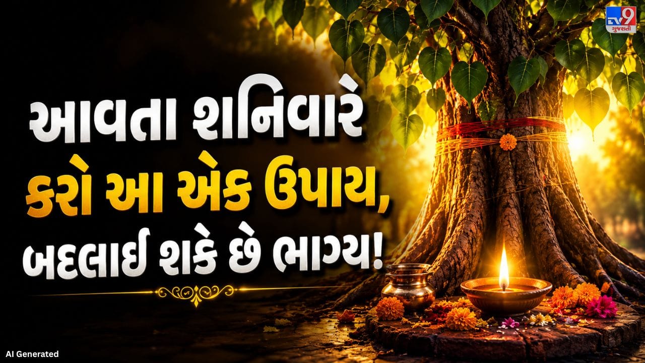 હિન્દુ પરંપરામાં પીપળાના વૃક્ષને ખૂબ જ પવિત્ર સ્થાન આપવામાં આવ્યું છે. તેને માત્ર સામાન્ય વૃક્ષ નહીં, પરંતુ શુભતા અને આધ્યાત્મિક શક્તિનું પ્રતીક માનવામાં આવે છે. ધાર્મિક તેમજ જ્યોતિષીય માન્યતાઓ મુજબ પીપળાના વૃક્ષની પૂજા કરવાથી સકારાત્મક ઊર્જા પ્રાપ્ત થાય છે અને જીવનમાં સુખ-સમૃદ્ધિ વધે છે. તેથી જ ઘણા લોકો વર્ષોથી ખાસ કરીને શનિવારના દિવસે પીપળાના વૃક્ષની શ્રદ્ધાપૂર્વક પૂજા કરે છે અને તેની નીચે દીવો પ્રગટાવે છે.