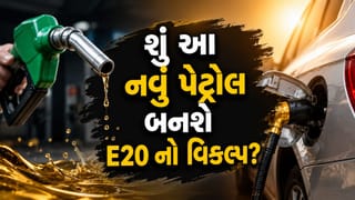 શું આ નવું પેટ્રોલ બનશે E20 નો વિકલ્પ ? આખરે કેમ ગાડી ચાલકોમાં અચાનક વધી ગઈ આ ખાસ ફ્યુઅલની ડિમાન્ડ?