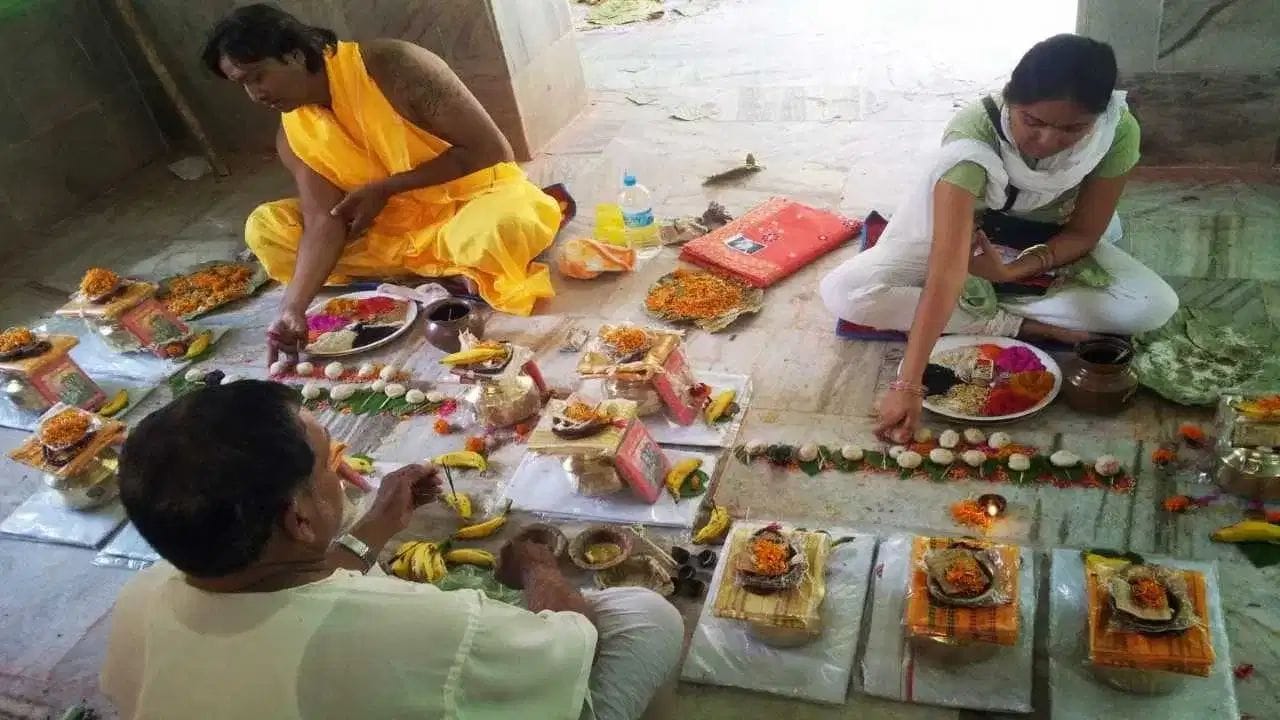 દરેક પિતૃપક્ષ દરમિયાન પિતૃઓની પૂજા કરવાથી, પિતૃઓ માટે તર્પણ, દાન વગેરે કરવાથી તમને પિતૃદોષમાંથી મુક્તિ મળી શકે છે. કાગડાને રોટલી ખવડાવવાથી, કીડીઓને કણ (ખાંડ/લોટ) નાખવાથી, ગાયની સેવા કરવાથી પણ તમને પિતૃદોષમાંથી મુક્તિ મળી શકે છે.