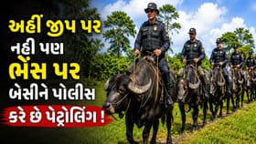 વિશ્વની અનોખી પોલીસ! જે જીપ પર નહીં ભેંસો પર બેસીને કરે છે પેટ્રોલિંગ