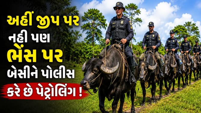 વિશ્વની અનોખી પોલીસ! જે જીપ પર નહીં ભેંસો પર બેસીને કરે છે પેટ્રોલિંગ