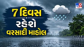 ત્રણ વરસાદી સિસ્ટમ સક્રિય થતાં ચોમાસું ફરી જામ્યું