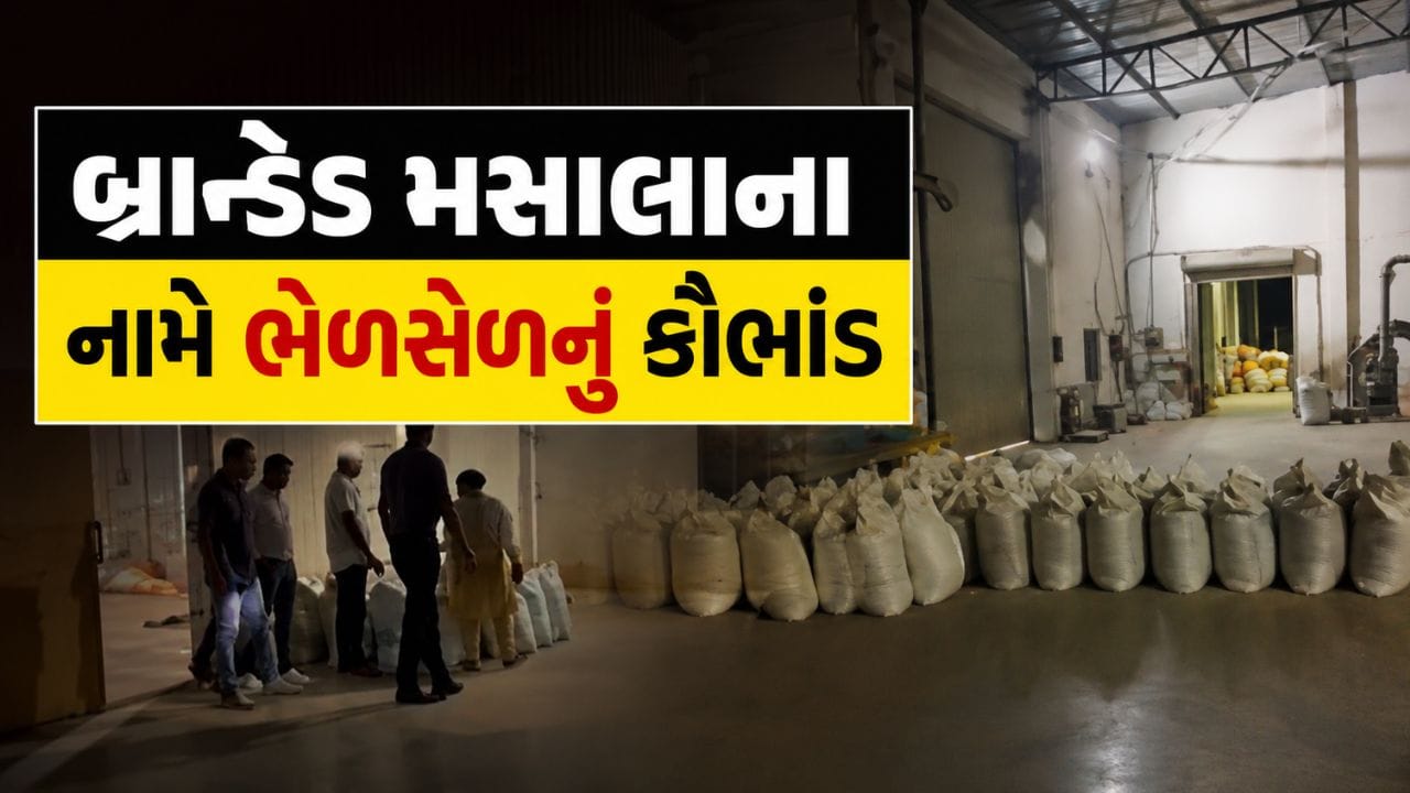 હવે મરચું-હળદર ખાવાનું પણ બંધ! રાજકોટમાં બ્રાન્ડેડ મસાલાના નામે ભેળસેળનું કૌભાંડ ઝડપાયું