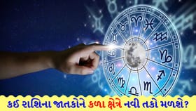 તમારા કામની પ્રશંસા થશે, ઉપરી અધિકારીનો સહયોગ મળશે