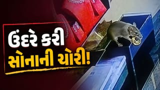 ઉંદરે કરી સોનાની ચોરી ! CCTVમાં કેદ થઈ અનોખી ઘટના, જુઓ Video