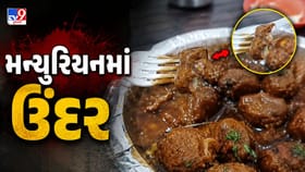સુરતની એક રેસ્ટોરેન્ટમાં મન્ચુરિયનની પ્લેટમાંથી નીકળ્યો ઉંદર