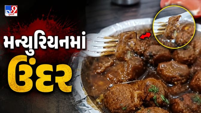 સુરતની એક રેસ્ટોરેન્ટમાં મન્ચુરિયનની પ્લેટમાંથી નીકળ્યો ઉંદર