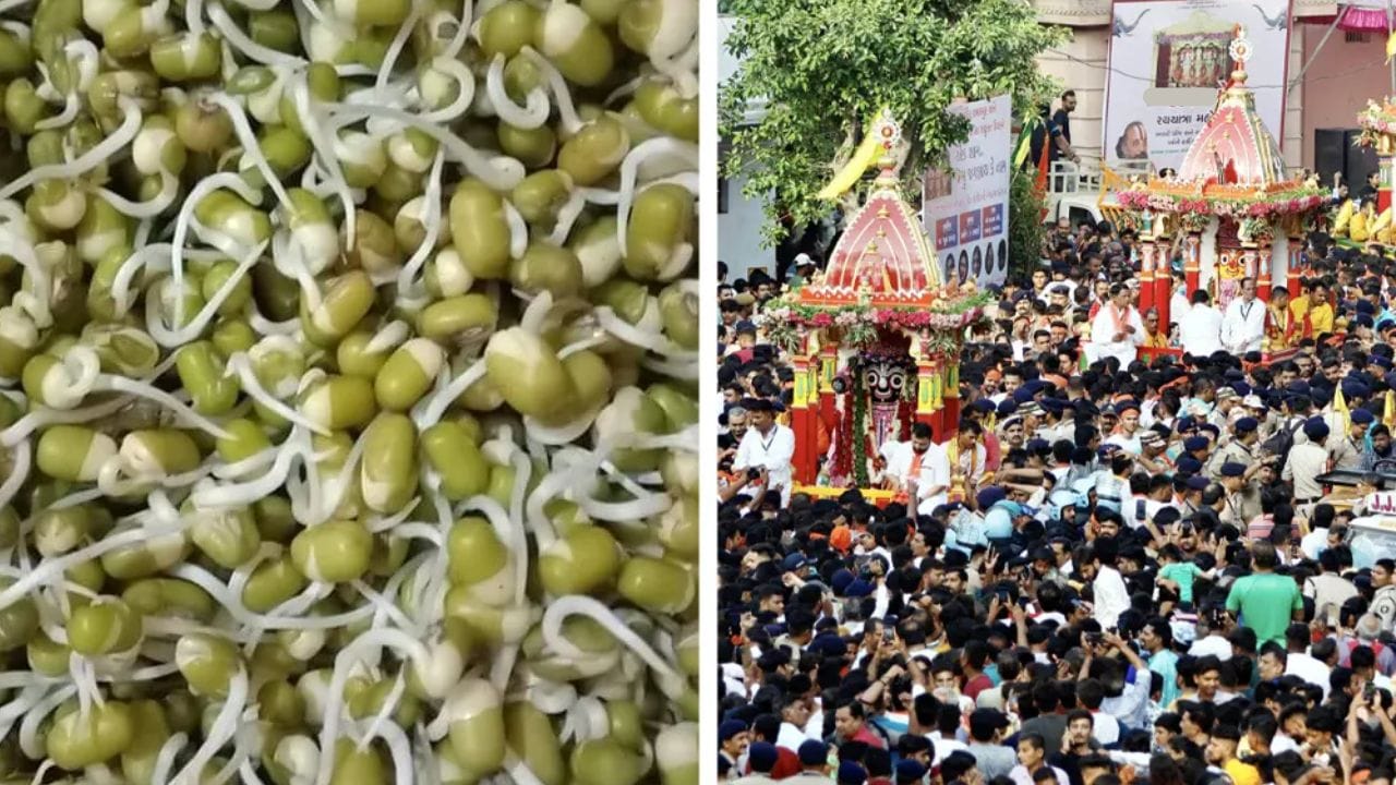મગનો પ્રસાદ શા માટે ખાસ? : ફણગાવેલા મગ પ્રોટીન, વિટામિન, ફાઈબર અને અનેક જરૂરી પોષક તત્ત્વોથી સમૃદ્ધ હોય છે. લાંબા સમય સુધી ચાલતી રથયાત્રા દરમિયાન ભક્તોને ઊર્જા મળી રહે અને પેટ ભરેલું રહે તે માટે મગનો પ્રસાદ ખૂબ ઉપયોગી માનવામાં આવે છે. ઉપરાંત તે પાચનતંત્રને મજબૂત બનાવે છે અને શરીરને જરૂરી પોષણ પણ પૂરું પાડે છે.