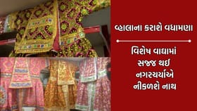 ભગવાન જગન્નાથજીની રથયાત્રામાં વ્હાલાના વાઘા બનશે આકર્ષણનું કેન્દ્ર