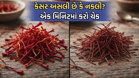 Real vs Fake: કેસર અસલી છે કે નક્લી કેવી રીતે ચેક કરશો?