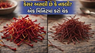 Real vs Fake: એક મિનિટમાં કેસર અસલી છે કે નક્લી ઘરે બેઠા કેવી રીતે ચેક કરશો-આ રહી ટિપ્સ