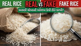 Real vs Fake: શું તમે રોજ જે ખાઈ રહ્યા છો એ ચોખા અસલી છે કે નક્લી?