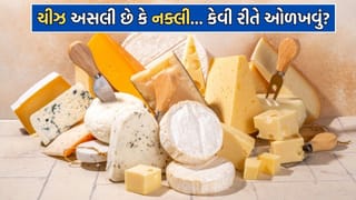 ચટકારા લઈ-લઈને તમે જે ચીઝ ખાઈ રહ્યો છો… એ  અસલી છે કે નક્લી… ઘરે બેઠા કેવી રીતે ચેક કરવુ?