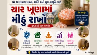Vastu Tips: ઘરના ચારેય ખૂણામાં મીઠું રાખવાથી શું થાય? જાણો વાસ્તુનો આ ચમત્કારિક ઉપાય