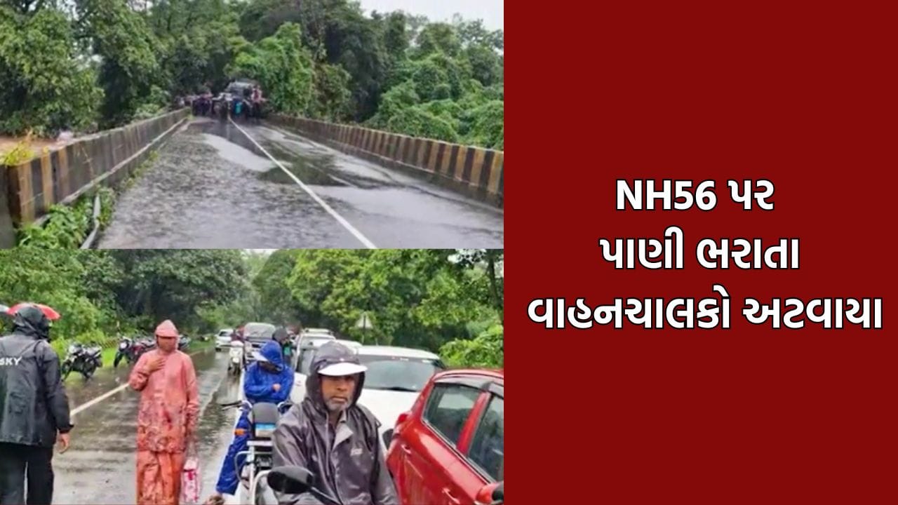 સુરત, તાપી અને શામળાજી નેશનલ હાઈવે 56 પર ભરાયા પાણી, વિસડાલિયા નજીક હાઈવે કરાયો બંધ- Video સુરત, તાપી અને શામળાજી નેશનલ હાઈવે 56 પર ભરાયા પાણી, વિસડાલિયા નજીક હાઈવે કરાયો બંધ- Video