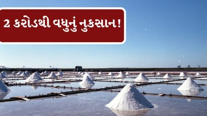 રણમાં પાણી ભરાતા મીઠાનું ધોવાણ, 2 કરોડથી વધુના નુકસાનનો દાવો